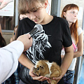 Мой любимец