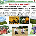 Родному краю посвящается…
