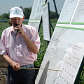 «День поля — 2013»