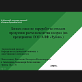 Проблемы и перспективы принятия стратегических  инвестиционных решений в экономике России