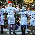 Агрохимическая елка