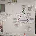 Познавательная лекция от клинического психолога