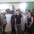 Foreign students visited horse farm