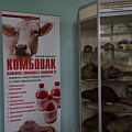 Семинар по инфекционным и инвазионным болезням животных