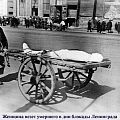 70-летию освобождения Ленинграда