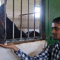 Foreign students visited horse farm