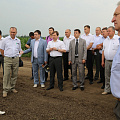 День поля