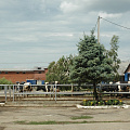 Дневник летней школы: день шестой