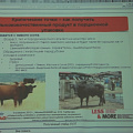 Инновационные технологии производства продуктов