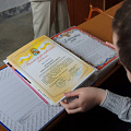 Сирень Победы