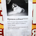 Не прошли мимо