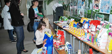 Итоги акции сбора помощи приюту «Краснодог»