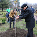 Открытие Аллеи Законодательного собрания Краснодарского края