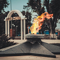 Итоги конкурса на лучшую фотографию