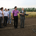 День поля
