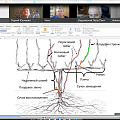 Программа обучения для виноградарей